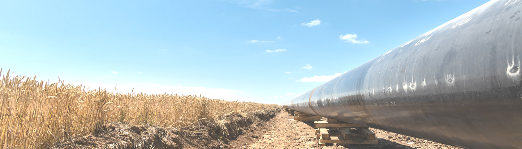 品質 石油テープ 工場